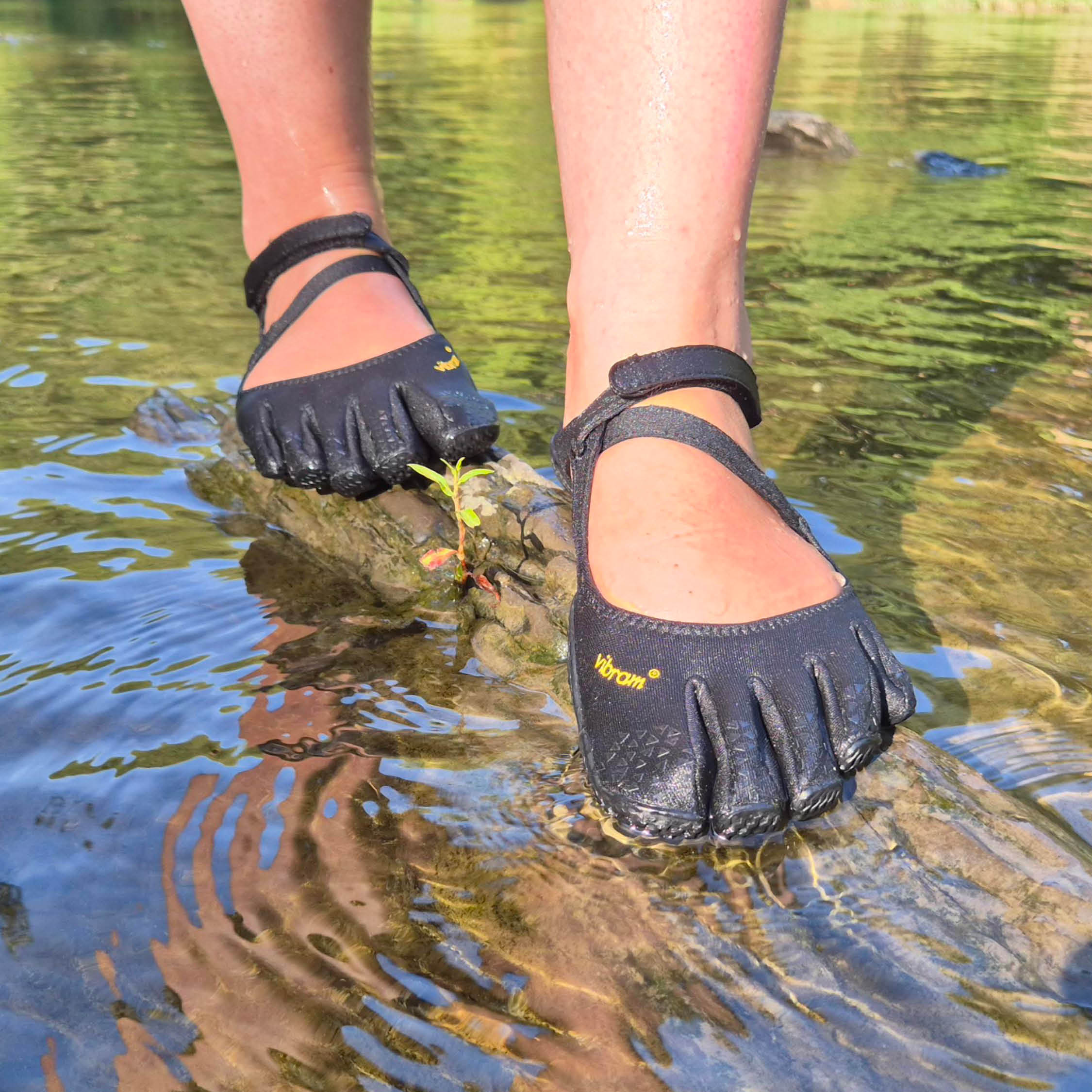 Seize the Day - Embrace the Summer