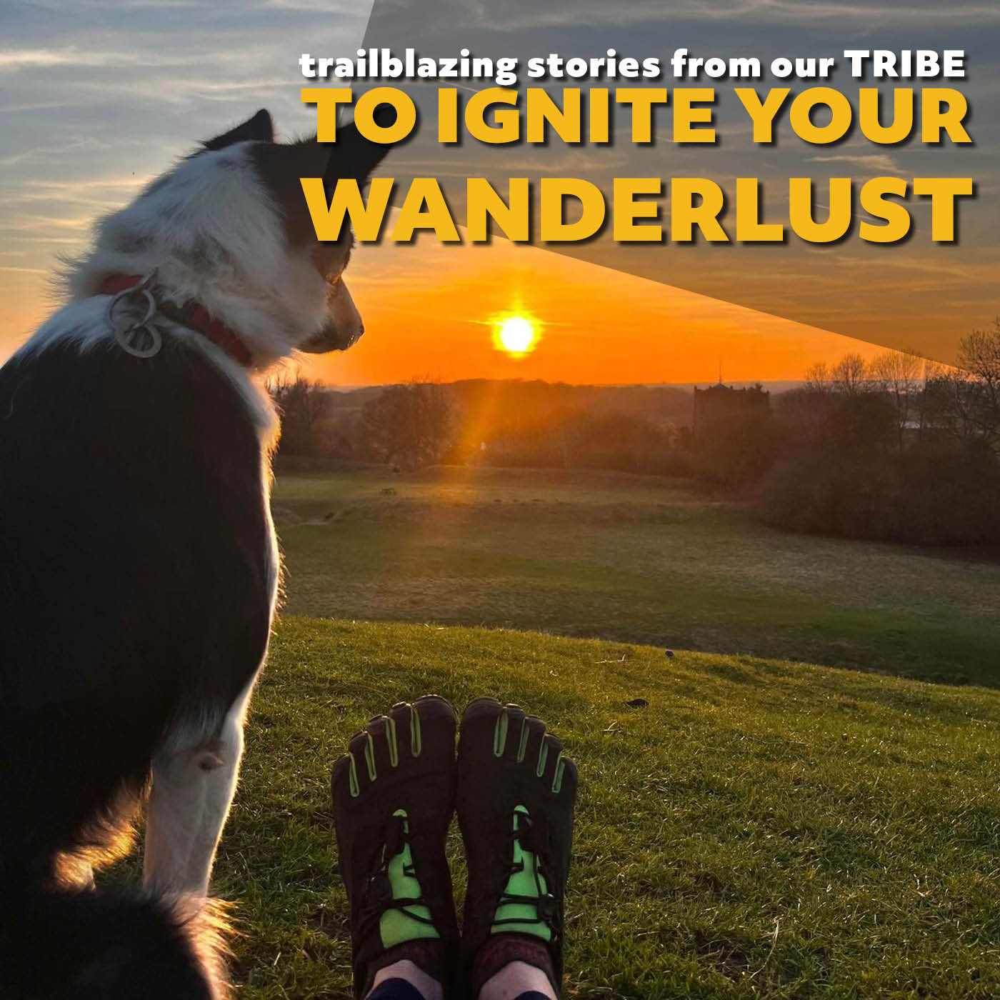 Trailblazing Barefoot Adventures: Inspiring Stories to Ignite Your Wanderlust