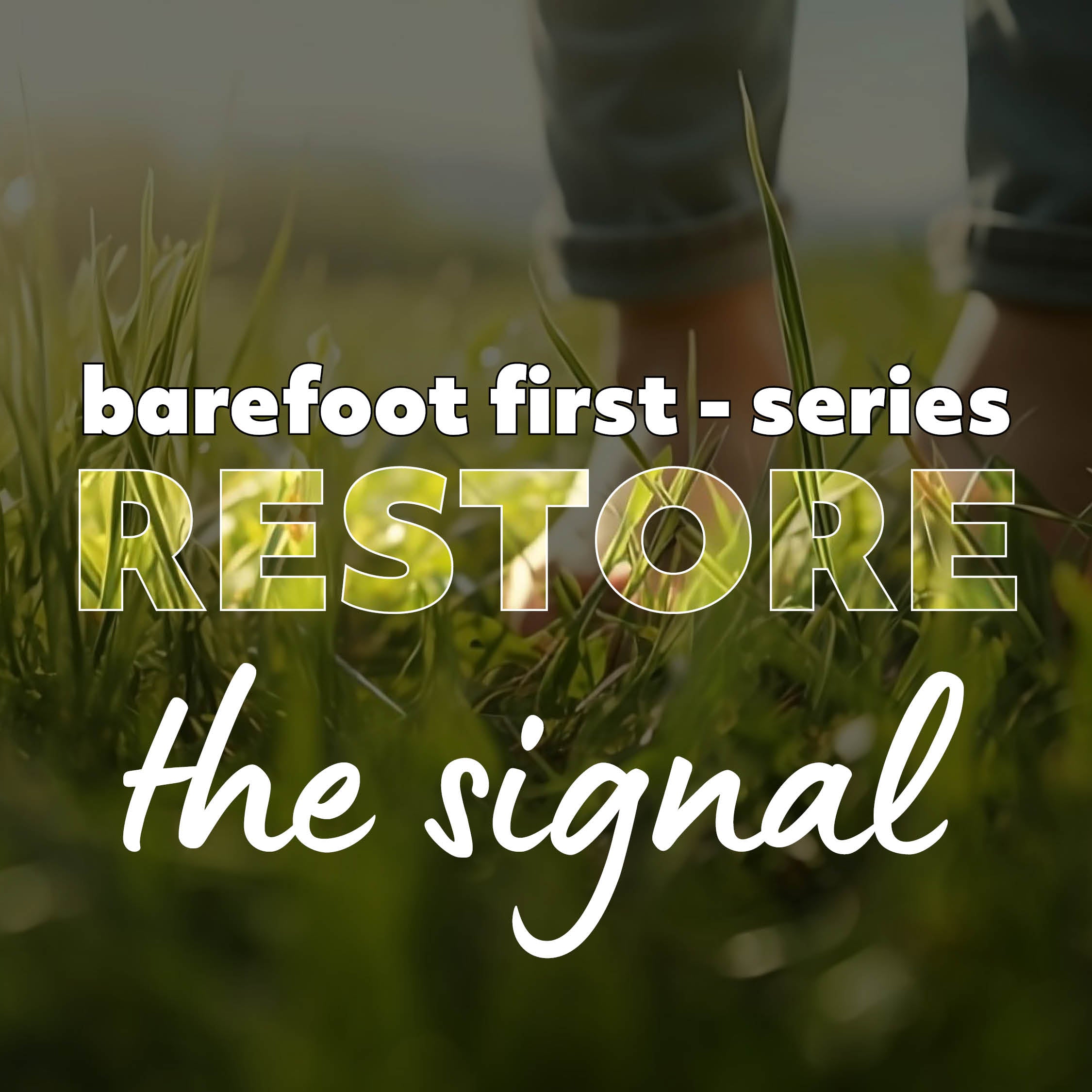Barefoot First Series - Blog 1 - Restore the Signal