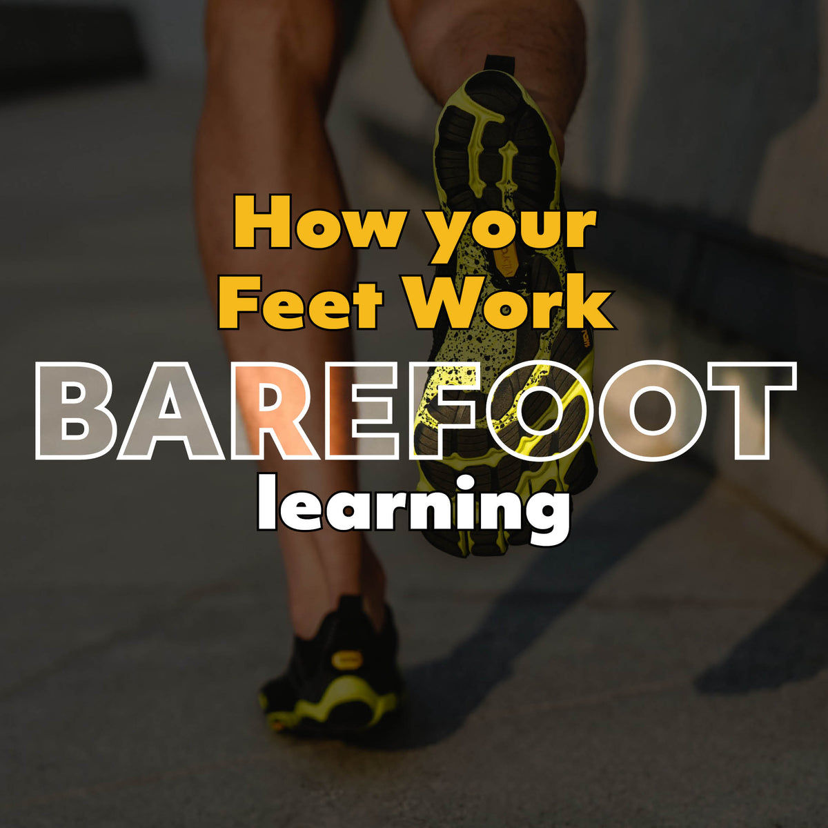 How your feet Work