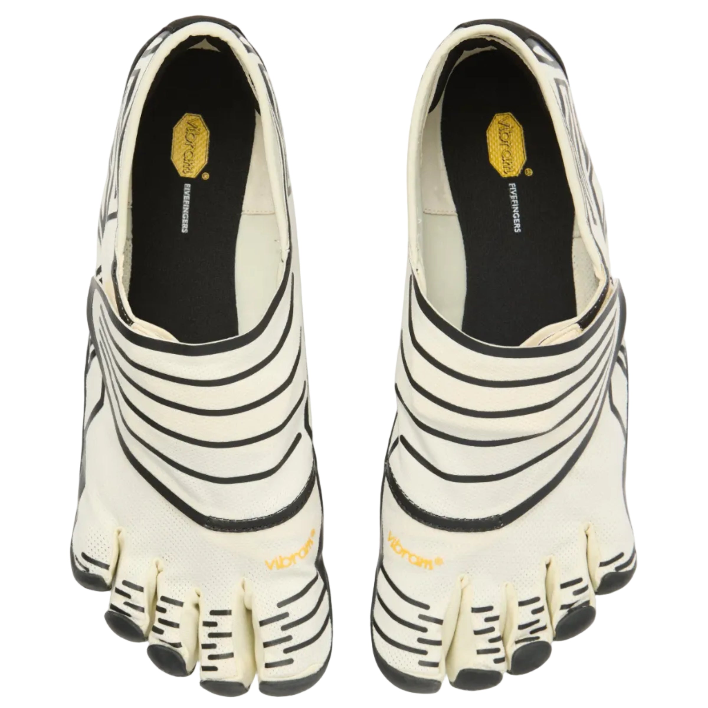 Groundsplay Ivory Black Shoe birdseye