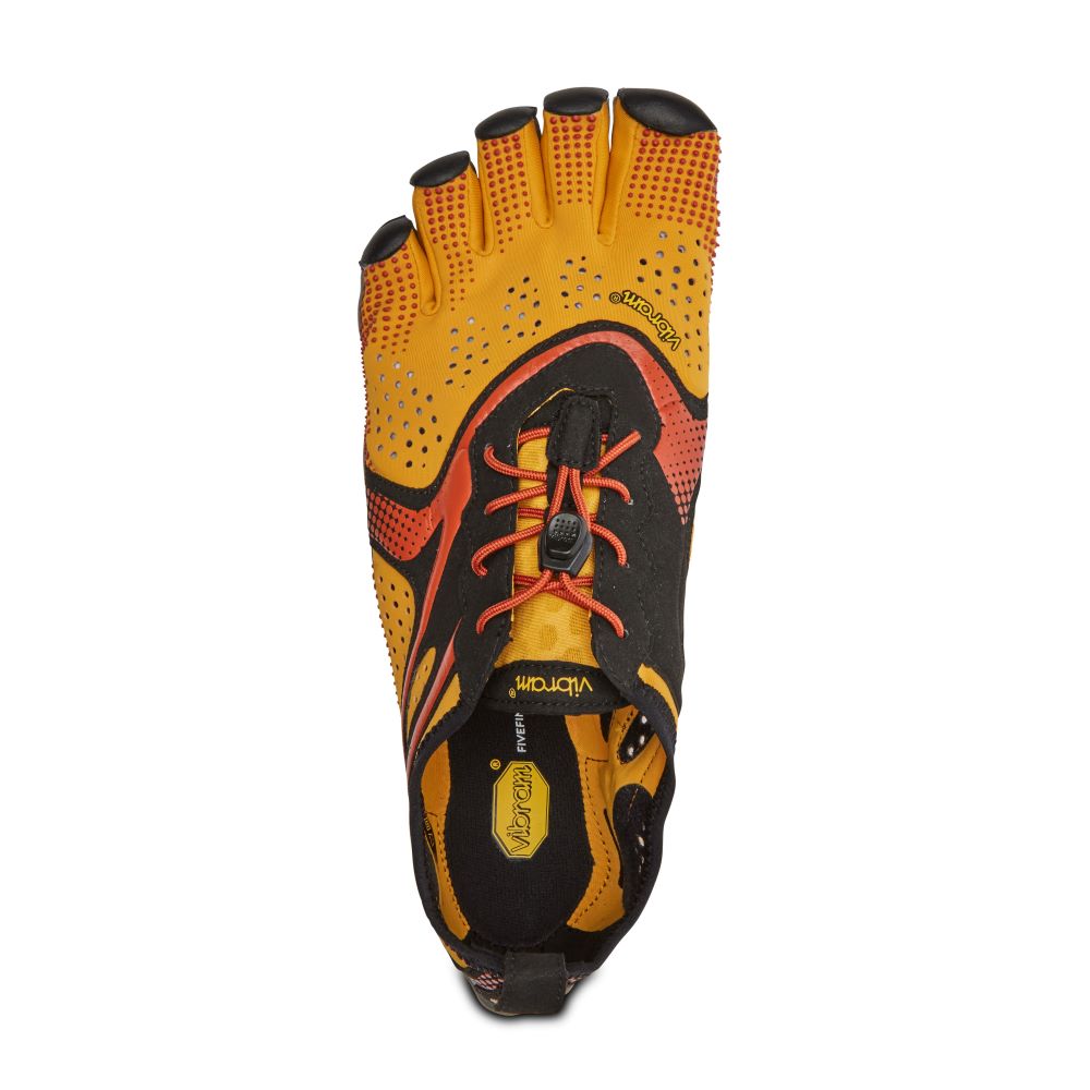V-RUN Mens Golden (NEW AW23)birdseye