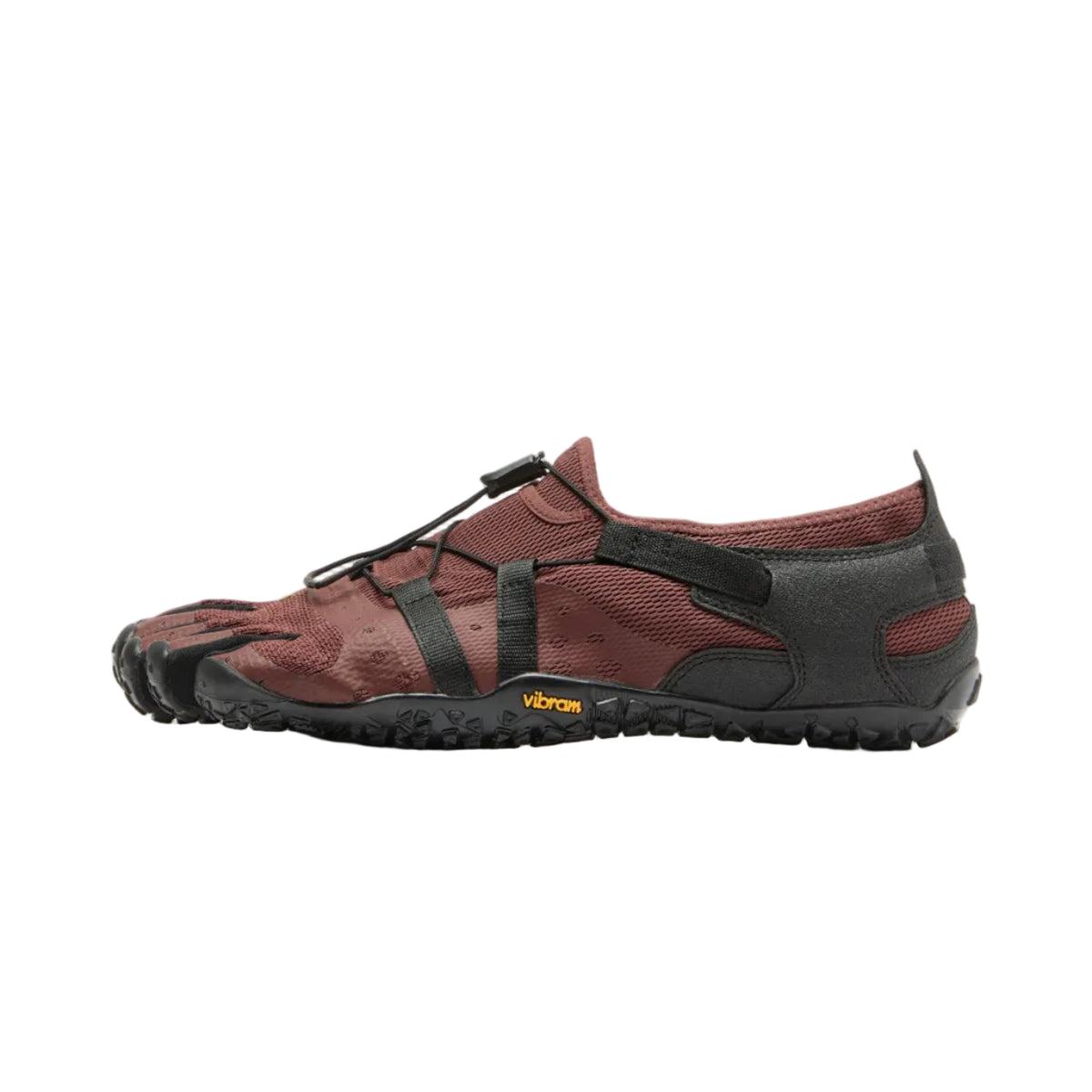Spidrwalk Mens Brown