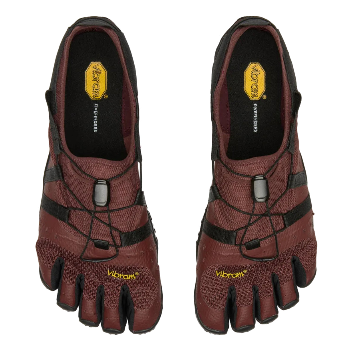 Spidrwalk Mens Brown