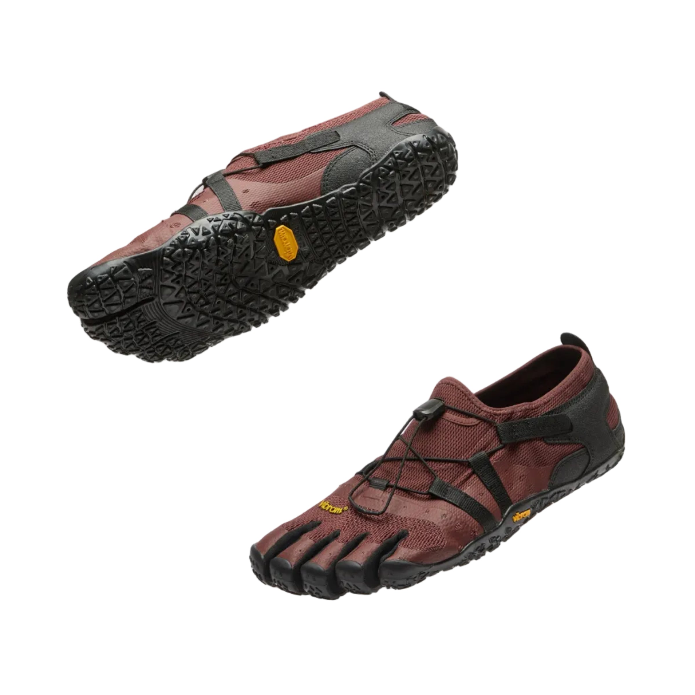 Spidrwalk Mens Brown
